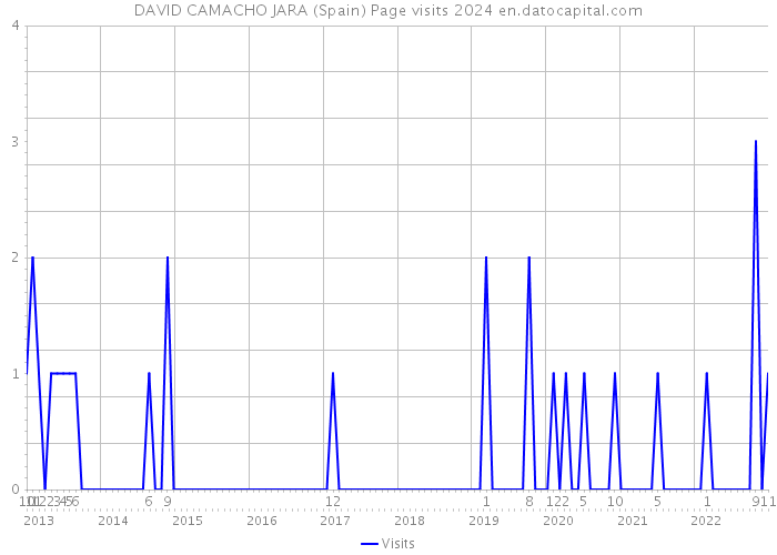 DAVID CAMACHO JARA (Spain) Page visits 2024 