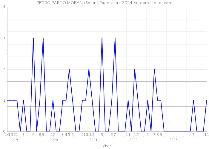 PEDRO PARDO MORAN (Spain) Page visits 2024 