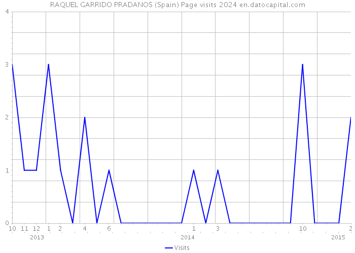 RAQUEL GARRIDO PRADANOS (Spain) Page visits 2024 