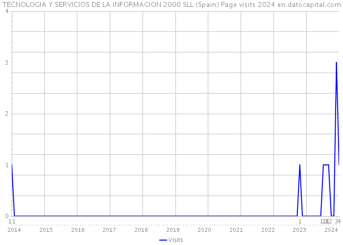 TECNOLOGIA Y SERVICIOS DE LA INFORMACION 2000 SLL (Spain) Page visits 2024 