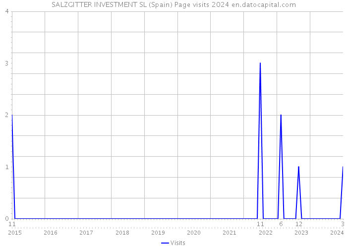 SALZGITTER INVESTMENT SL (Spain) Page visits 2024 