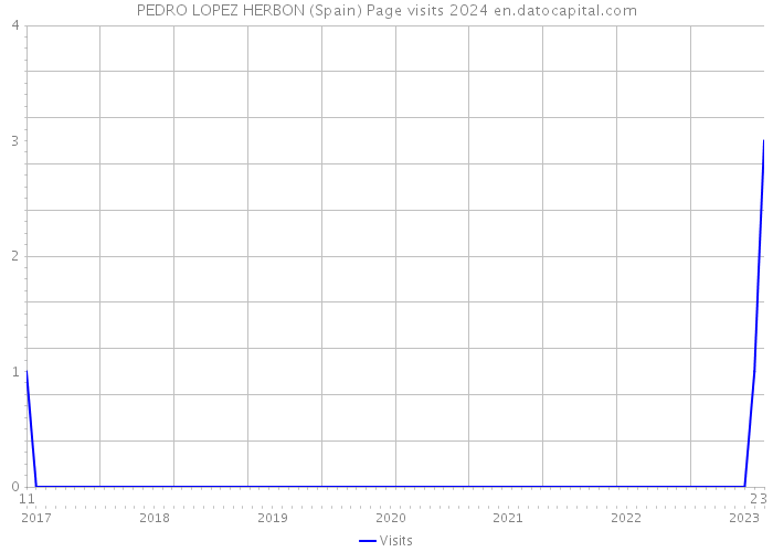 PEDRO LOPEZ HERBON (Spain) Page visits 2024 