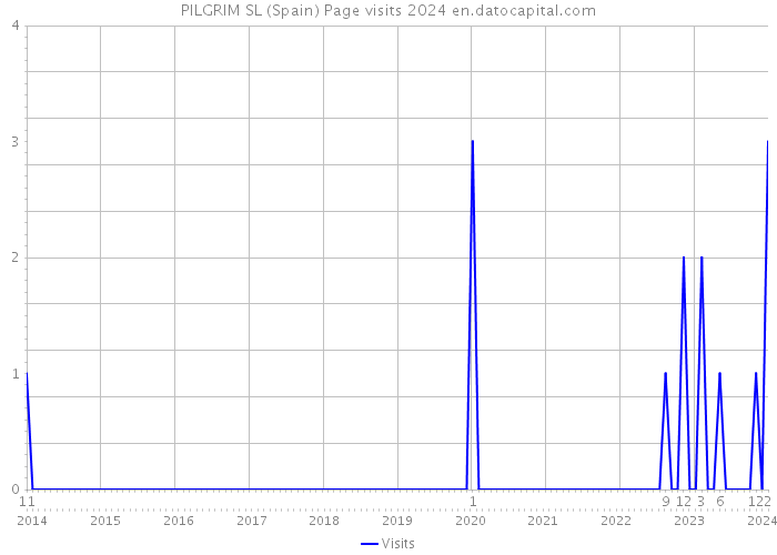 PILGRIM SL (Spain) Page visits 2024 