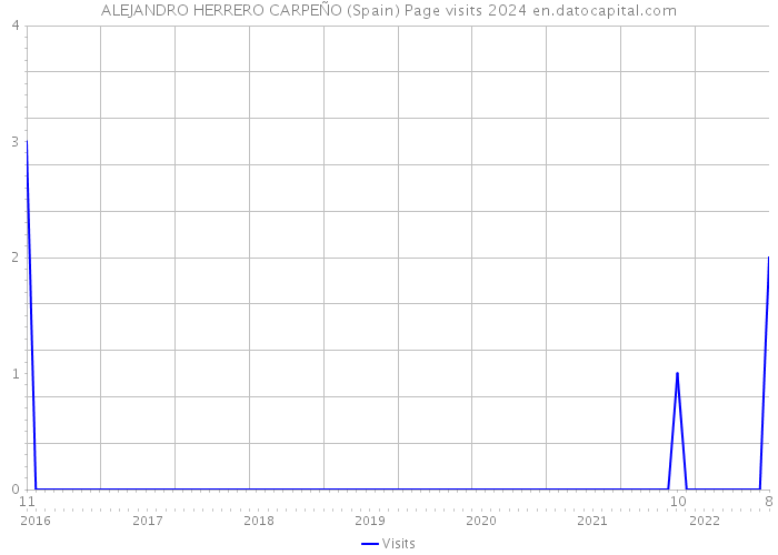 ALEJANDRO HERRERO CARPEÑO (Spain) Page visits 2024 