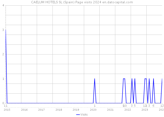 CAELUM HOTELS SL (Spain) Page visits 2024 