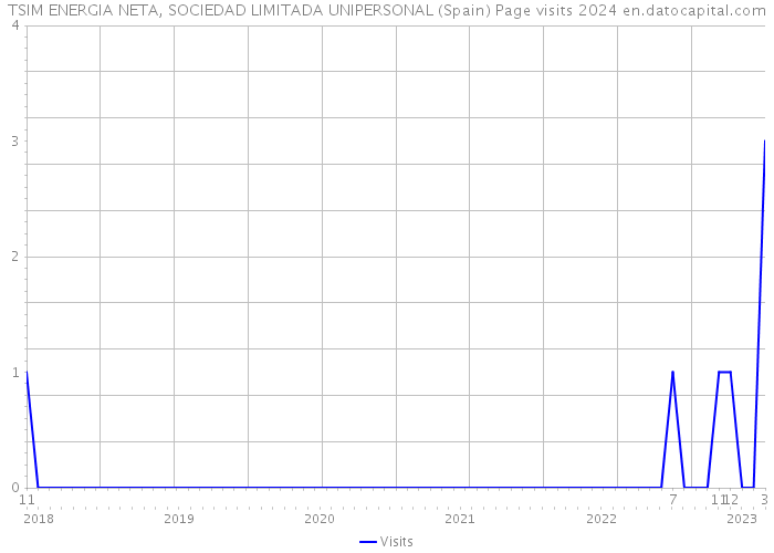 TSIM ENERGIA NETA, SOCIEDAD LIMITADA UNIPERSONAL (Spain) Page visits 2024 
