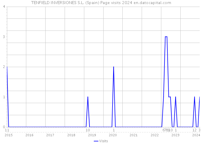 TENFIELD INVERSIONES S.L. (Spain) Page visits 2024 