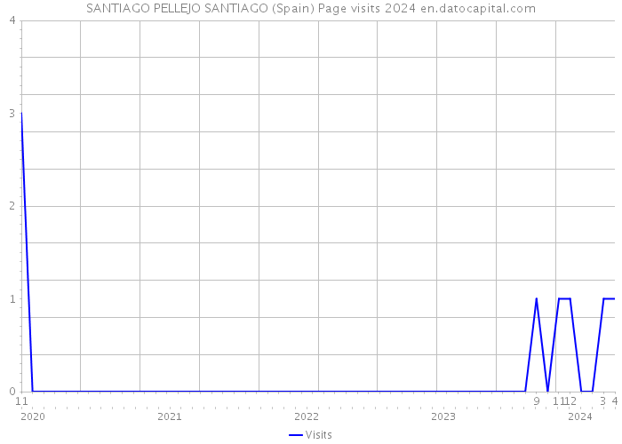 SANTIAGO PELLEJO SANTIAGO (Spain) Page visits 2024 