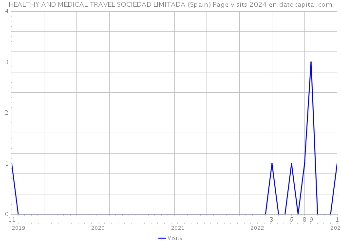 HEALTHY AND MEDICAL TRAVEL SOCIEDAD LIMITADA (Spain) Page visits 2024 