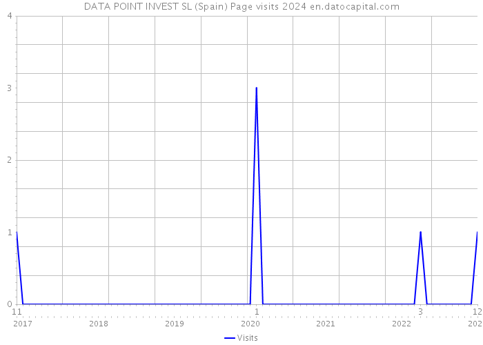 DATA POINT INVEST SL (Spain) Page visits 2024 