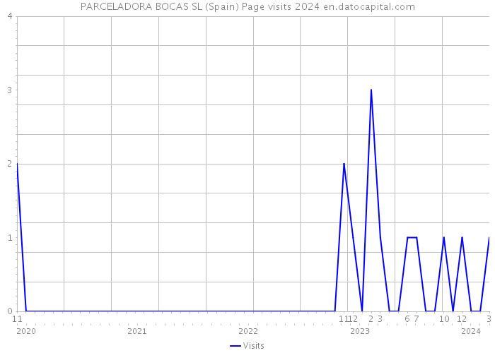 PARCELADORA BOCAS SL (Spain) Page visits 2024 