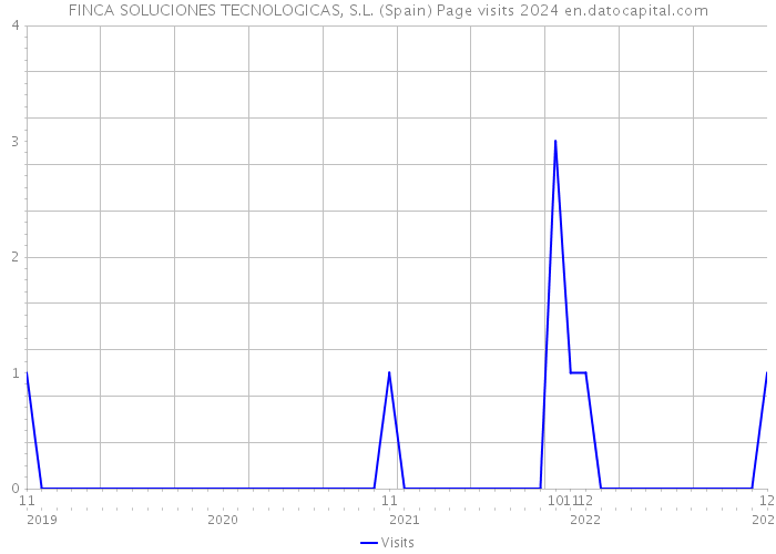 FINCA SOLUCIONES TECNOLOGICAS, S.L. (Spain) Page visits 2024 