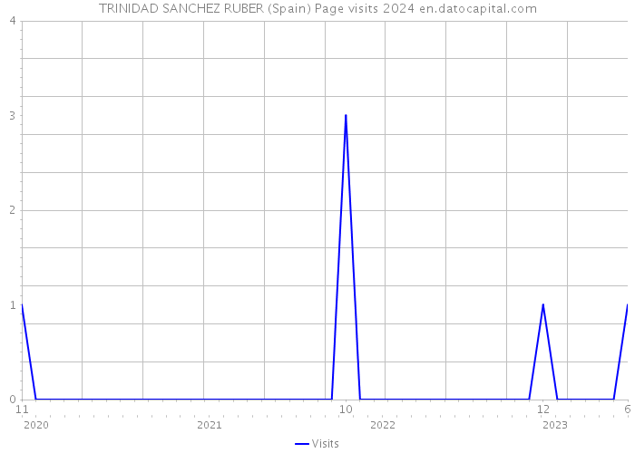 TRINIDAD SANCHEZ RUBER (Spain) Page visits 2024 