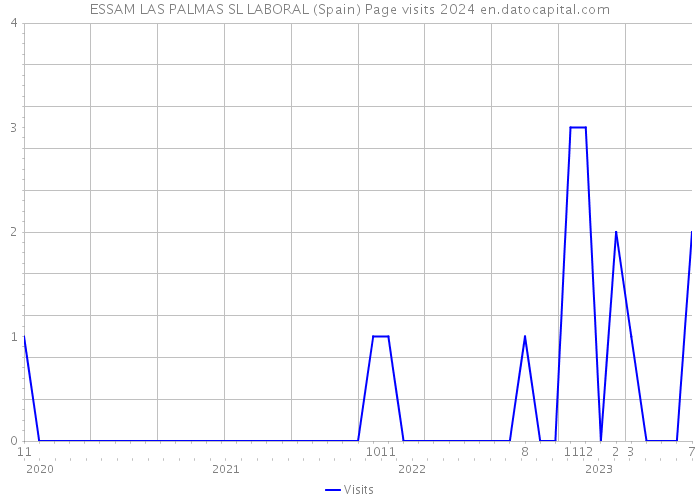 ESSAM LAS PALMAS SL LABORAL (Spain) Page visits 2024 