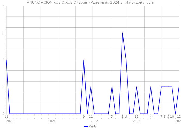 ANUNCIACION RUBIO RUBIO (Spain) Page visits 2024 