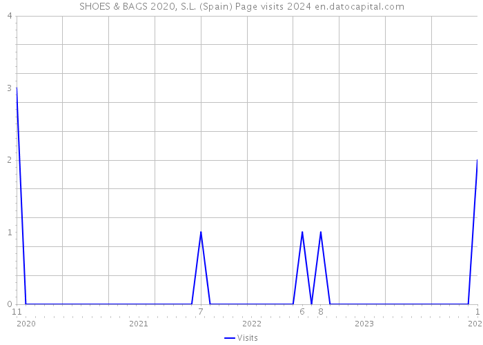 SHOES & BAGS 2020, S.L. (Spain) Page visits 2024 
