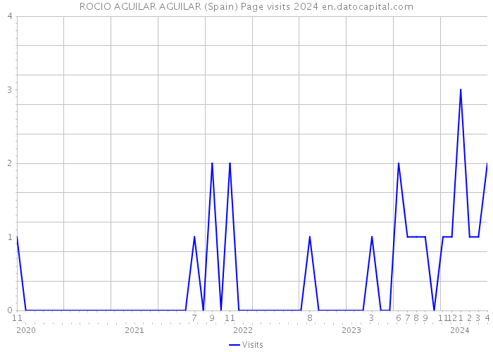 ROCIO AGUILAR AGUILAR (Spain) Page visits 2024 