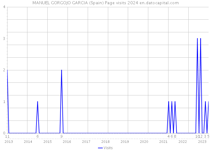 MANUEL GORGOJO GARCIA (Spain) Page visits 2024 