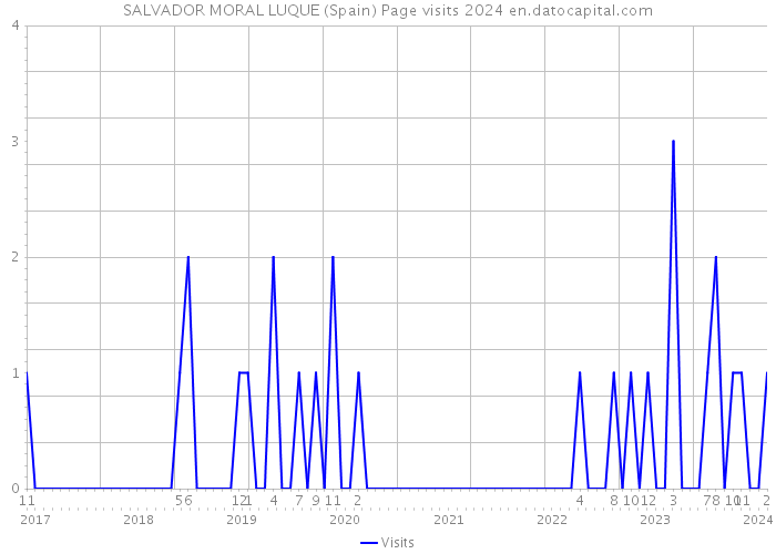 SALVADOR MORAL LUQUE (Spain) Page visits 2024 