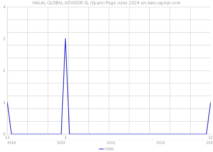 HALAL GLOBAL ADVISOR SL (Spain) Page visits 2024 