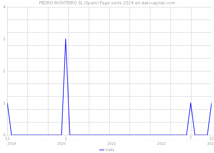 PEDRO MONTEIRO SL (Spain) Page visits 2024 
