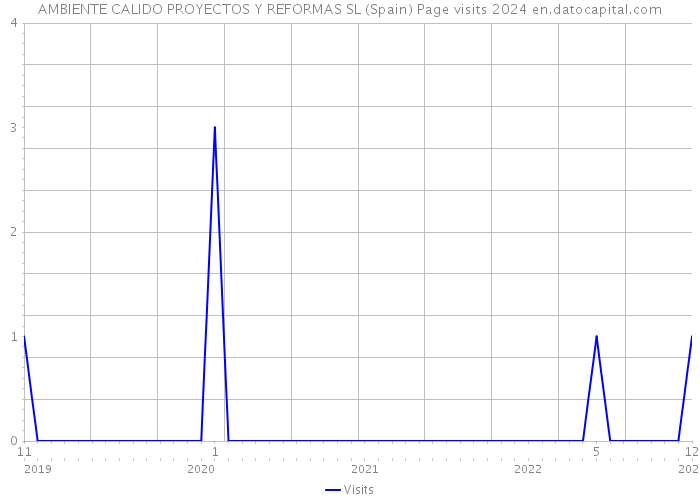 AMBIENTE CALIDO PROYECTOS Y REFORMAS SL (Spain) Page visits 2024 