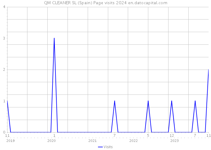 QM CLEANER SL (Spain) Page visits 2024 