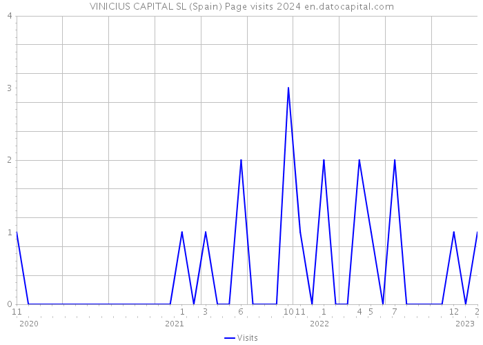 VINICIUS CAPITAL SL (Spain) Page visits 2024 