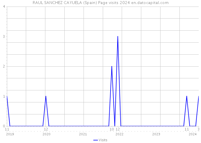 RAUL SANCHEZ CAYUELA (Spain) Page visits 2024 