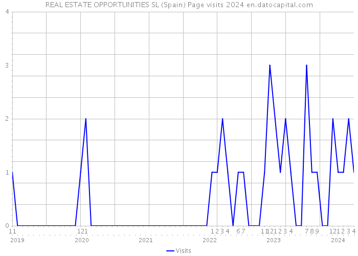 REAL ESTATE OPPORTUNITIES SL (Spain) Page visits 2024 