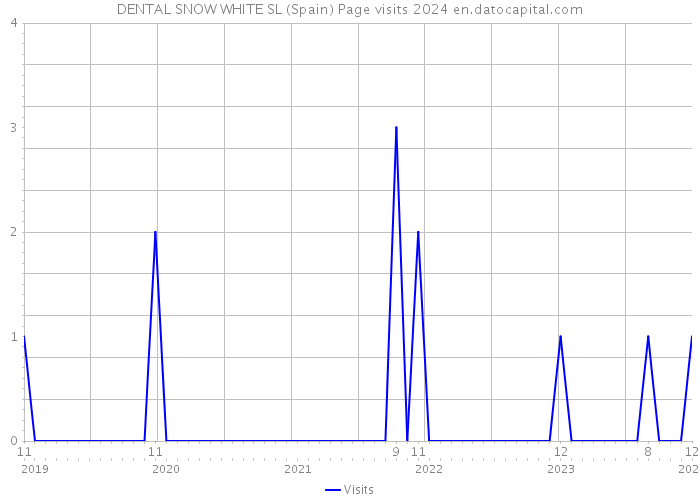 DENTAL SNOW WHITE SL (Spain) Page visits 2024 