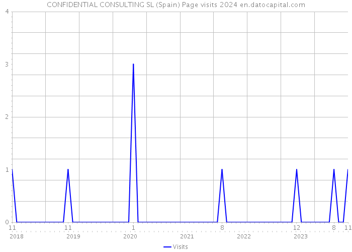 CONFIDENTIAL CONSULTING SL (Spain) Page visits 2024 