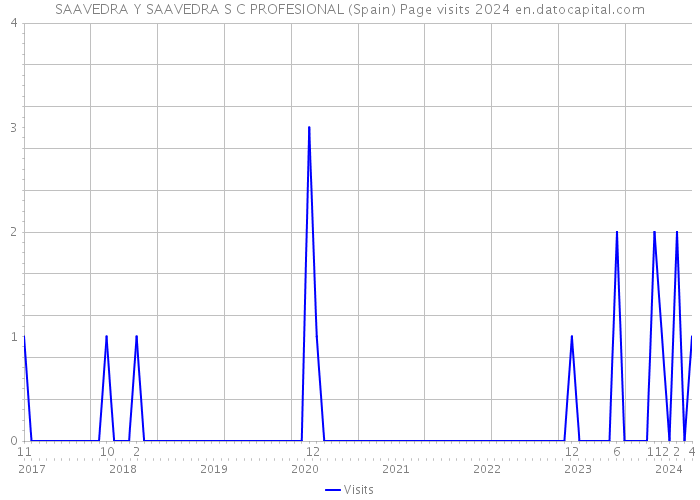 SAAVEDRA Y SAAVEDRA S C PROFESIONAL (Spain) Page visits 2024 