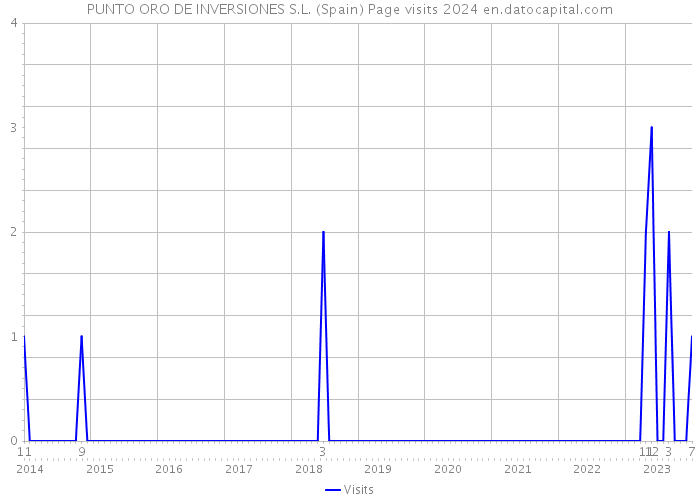 PUNTO ORO DE INVERSIONES S.L. (Spain) Page visits 2024 
