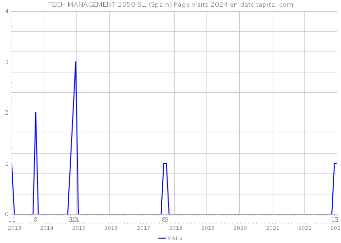 TECH MANAGEMENT 2050 SL. (Spain) Page visits 2024 