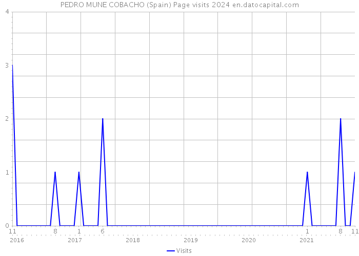 PEDRO MUNE COBACHO (Spain) Page visits 2024 