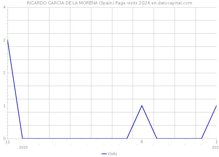 RICARDO GARCIA DE LA MORENA (Spain) Page visits 2024 