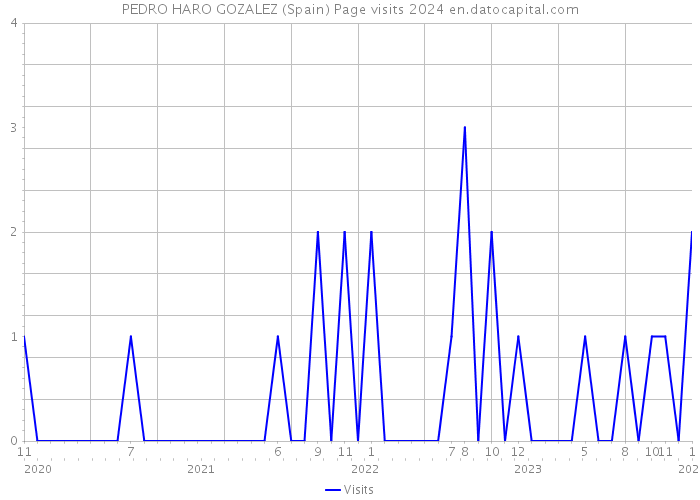 PEDRO HARO GOZALEZ (Spain) Page visits 2024 