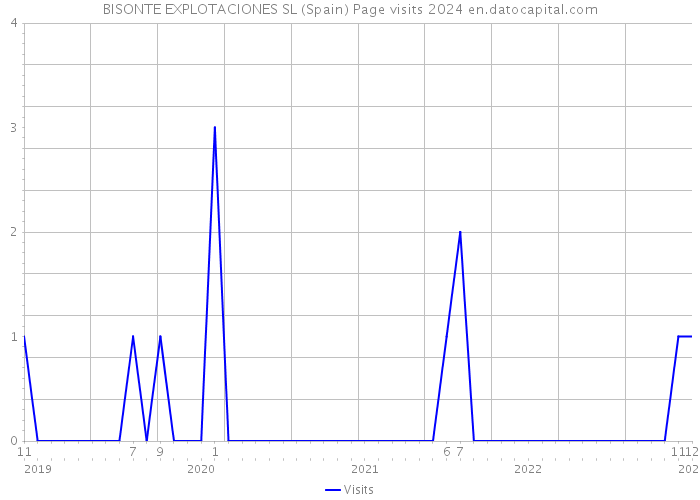 BISONTE EXPLOTACIONES SL (Spain) Page visits 2024 