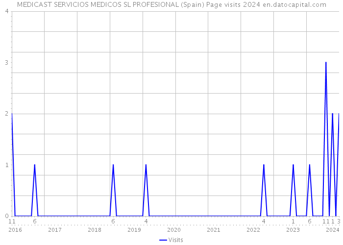 MEDICAST SERVICIOS MEDICOS SL PROFESIONAL (Spain) Page visits 2024 