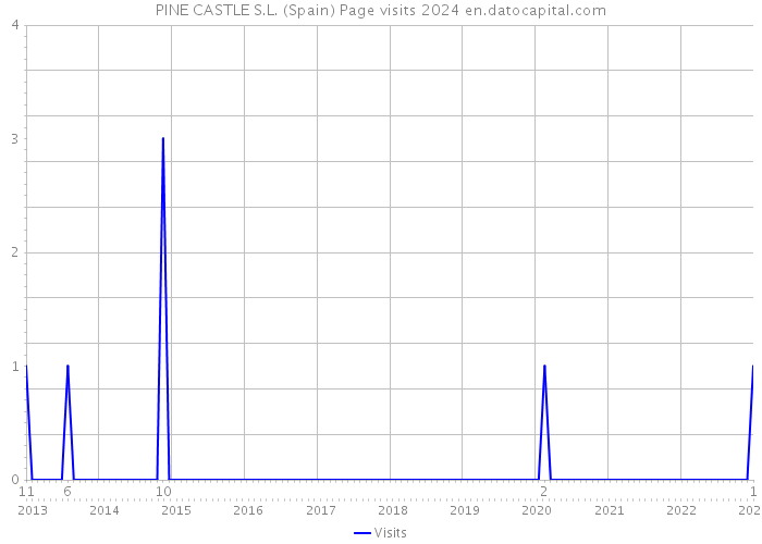 PINE CASTLE S.L. (Spain) Page visits 2024 
