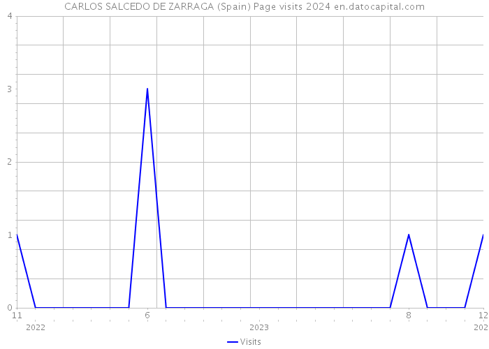CARLOS SALCEDO DE ZARRAGA (Spain) Page visits 2024 