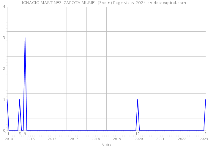 IGNACIO MARTINEZ-ZAPOTA MURIEL (Spain) Page visits 2024 