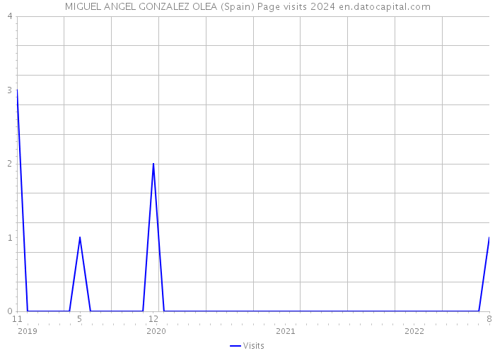 MIGUEL ANGEL GONZALEZ OLEA (Spain) Page visits 2024 