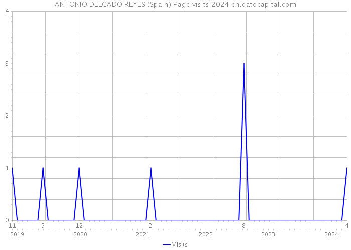 ANTONIO DELGADO REYES (Spain) Page visits 2024 