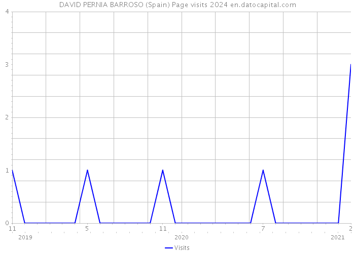 DAVID PERNIA BARROSO (Spain) Page visits 2024 