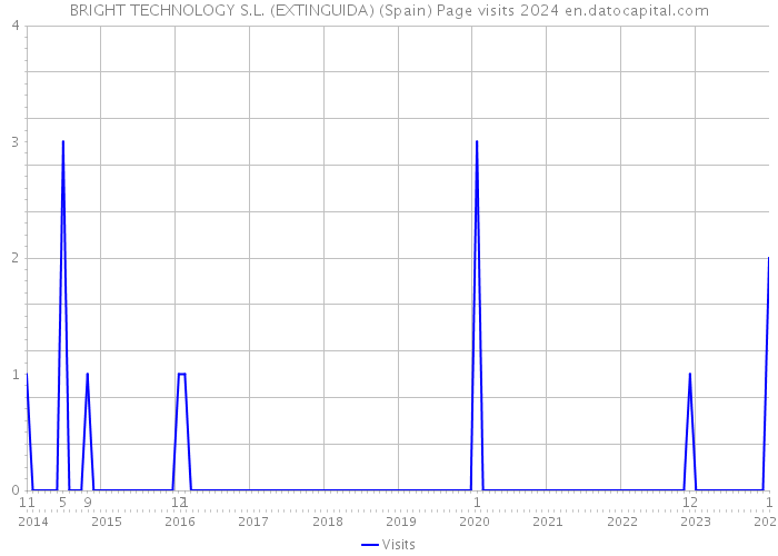 BRIGHT TECHNOLOGY S.L. (EXTINGUIDA) (Spain) Page visits 2024 