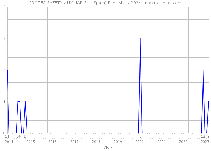 PROTEC SAFETY AUXILIAR S.L. (Spain) Page visits 2024 