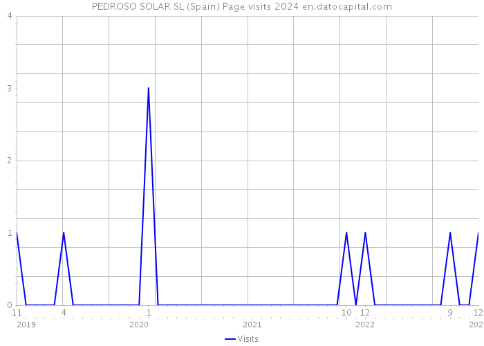 PEDROSO SOLAR SL (Spain) Page visits 2024 
