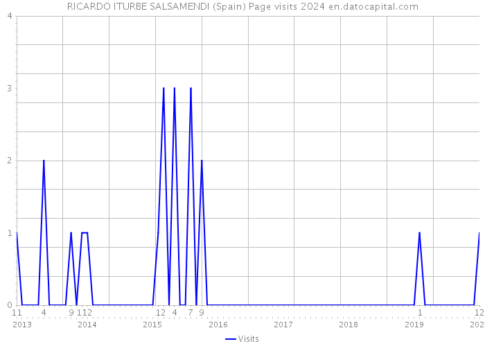RICARDO ITURBE SALSAMENDI (Spain) Page visits 2024 